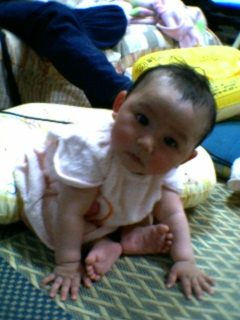 ほのたん７ヶ月