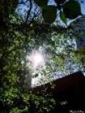 NYの空だってこんなに綺麗・・・5