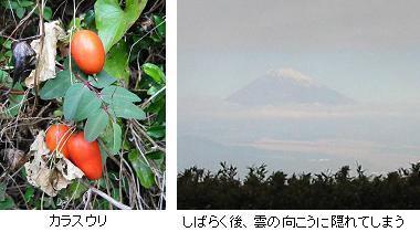 玄岳からの富士山