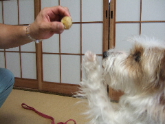 はぁ～い！それください！