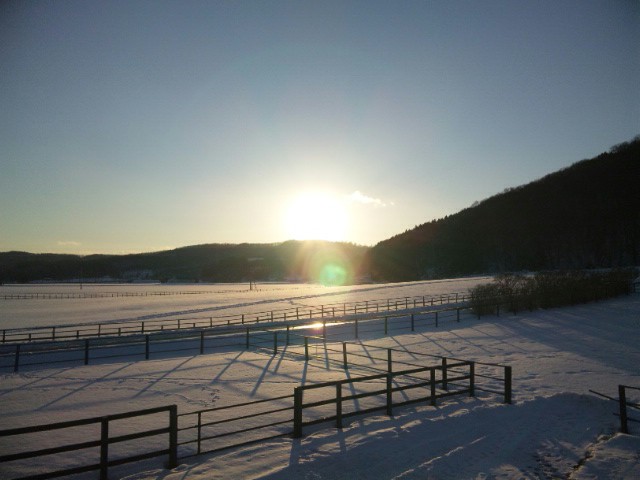 110205夕景.jpg
