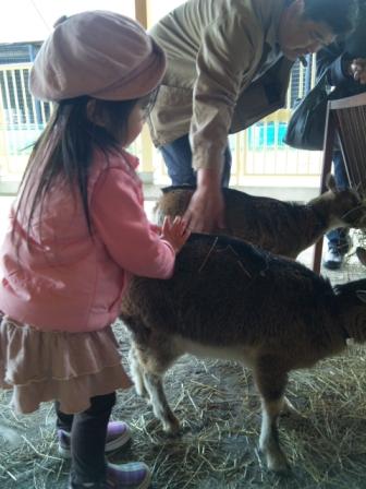 帯広動物園2011.5.8-2.jpg