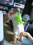 いるかをおんぶ