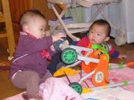 おもちゃ争奪戦？？