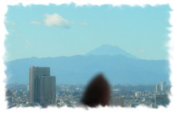 東京から見えた富士山
