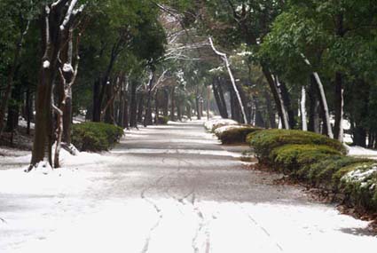 雪