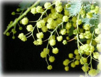 08 02 07 041のコピー.jpg