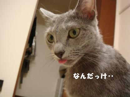 うーん。。。