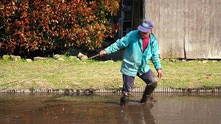 平に均しているところ