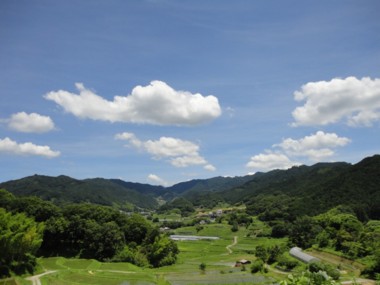 梅雨の晴れ間.jpg