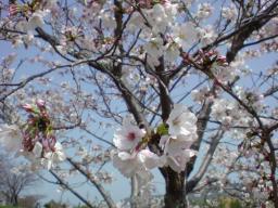 DSC01883.JPG