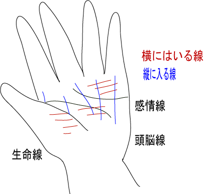 簡単手相の縦と横 伽弥の樹 楽天ブログ