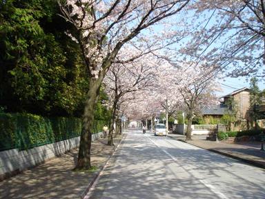 画像20080406 001.jpg