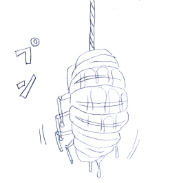 むくれちゃったパンデモニウムさん