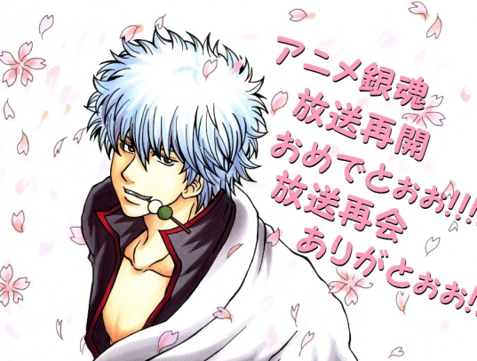 「銀魂」銀さん（桜）