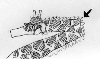 ありえねえ!Σ( ̄ロ ̄lll) ガビーン