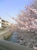 神田川３