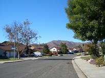 CIMG0535.JPG