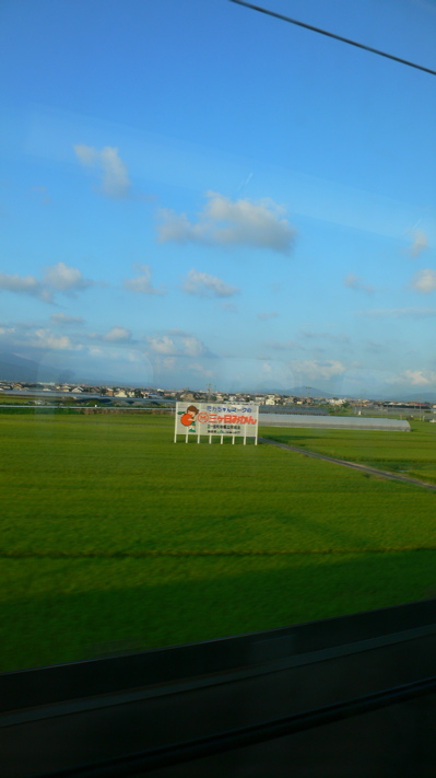 稲作による平坦地