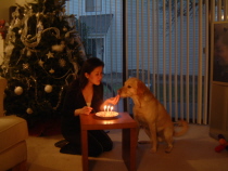 valentin birthday 100KB.jpg