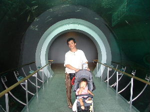 博物館２.JPG