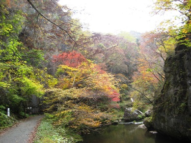 渓谷紅葉