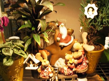 DSCN0919.JPG