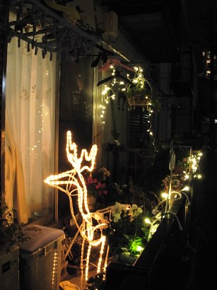 DSCN0923.JPG