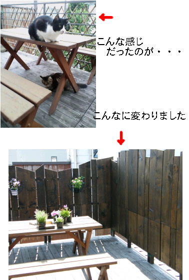 こんなに.JPG