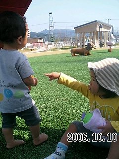 ともみなみ