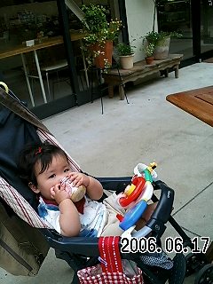 ベビーフード