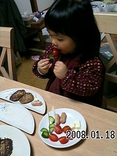 ハンバーグ１２