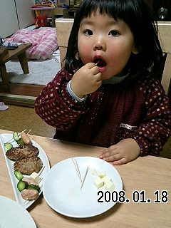 ハンバーグ１３