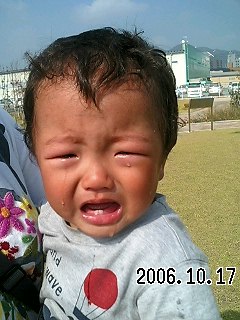 トモ泣く