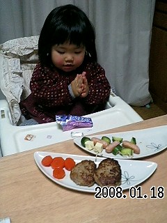 ハンバーグ１４