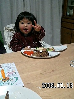 ハンバーグ１５