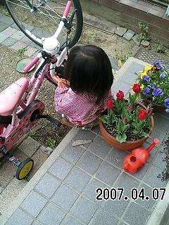 はな