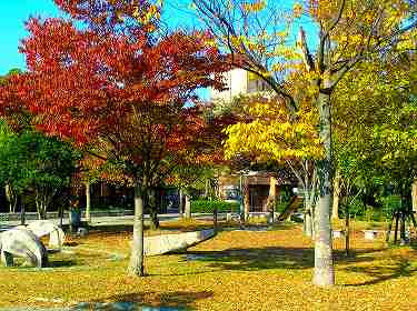 紅葉公園