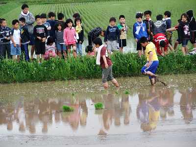 田植え.jpg