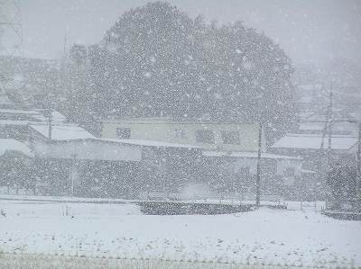 外は吹雪