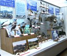 鳥の博物館（特設　飛騨高山の老田コレクション）