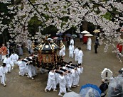 花祭り