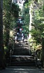 箱根神社の参道石段