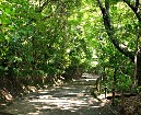 城山散策路（遊歩道）