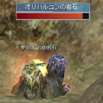 初めて見ました