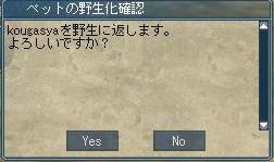 野生に･･･