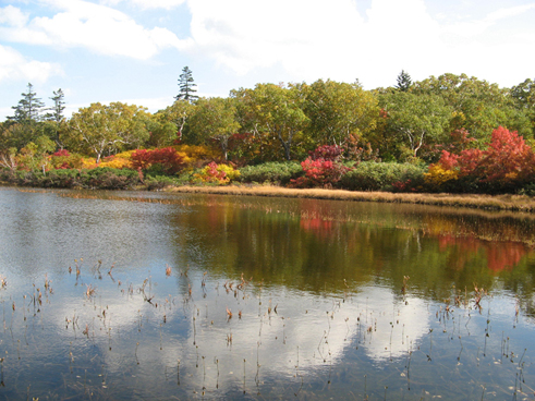 ニセコ神仙沼紅葉３.jpg
