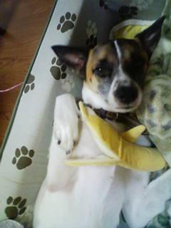 banana