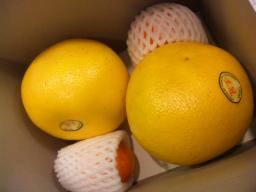 フルーツ　ヴェルデ　送料込１，０００円お楽しみBOX