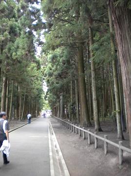 瑞巌寺　参道